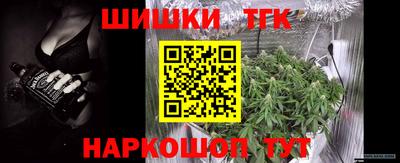 индика Партизанск