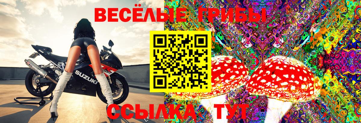 Старый Оскол  Галлюциногенные грибы Psilocybine cubensis  Вход с VPN  Галлюциногенные грибы Magic Shrooms 
